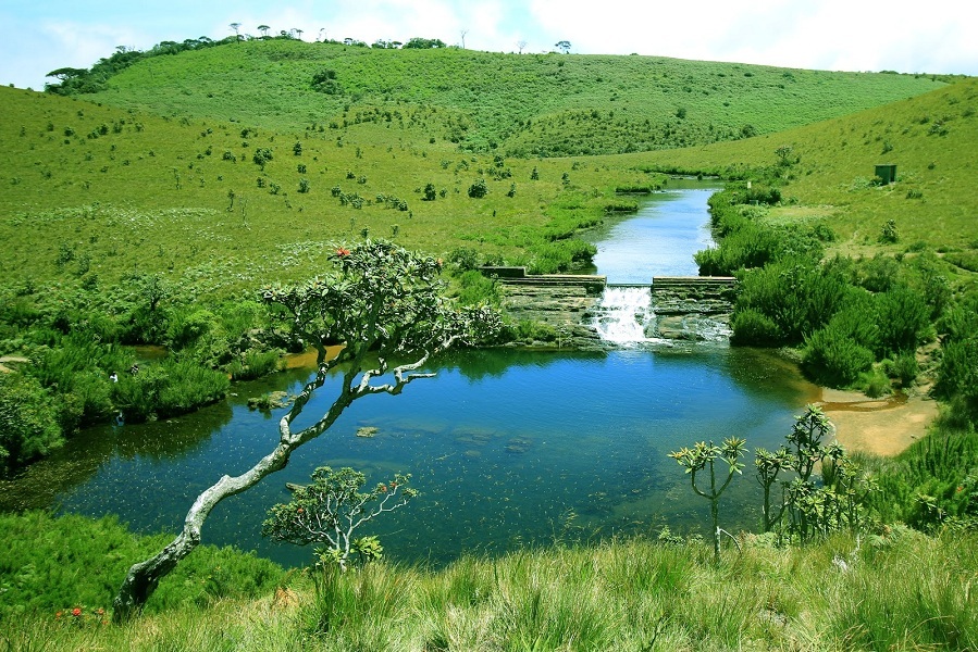 Horton Plains